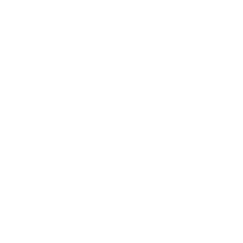 ss logo removebg preview copynn
